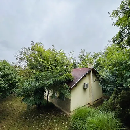 Toereki * Balatonendred